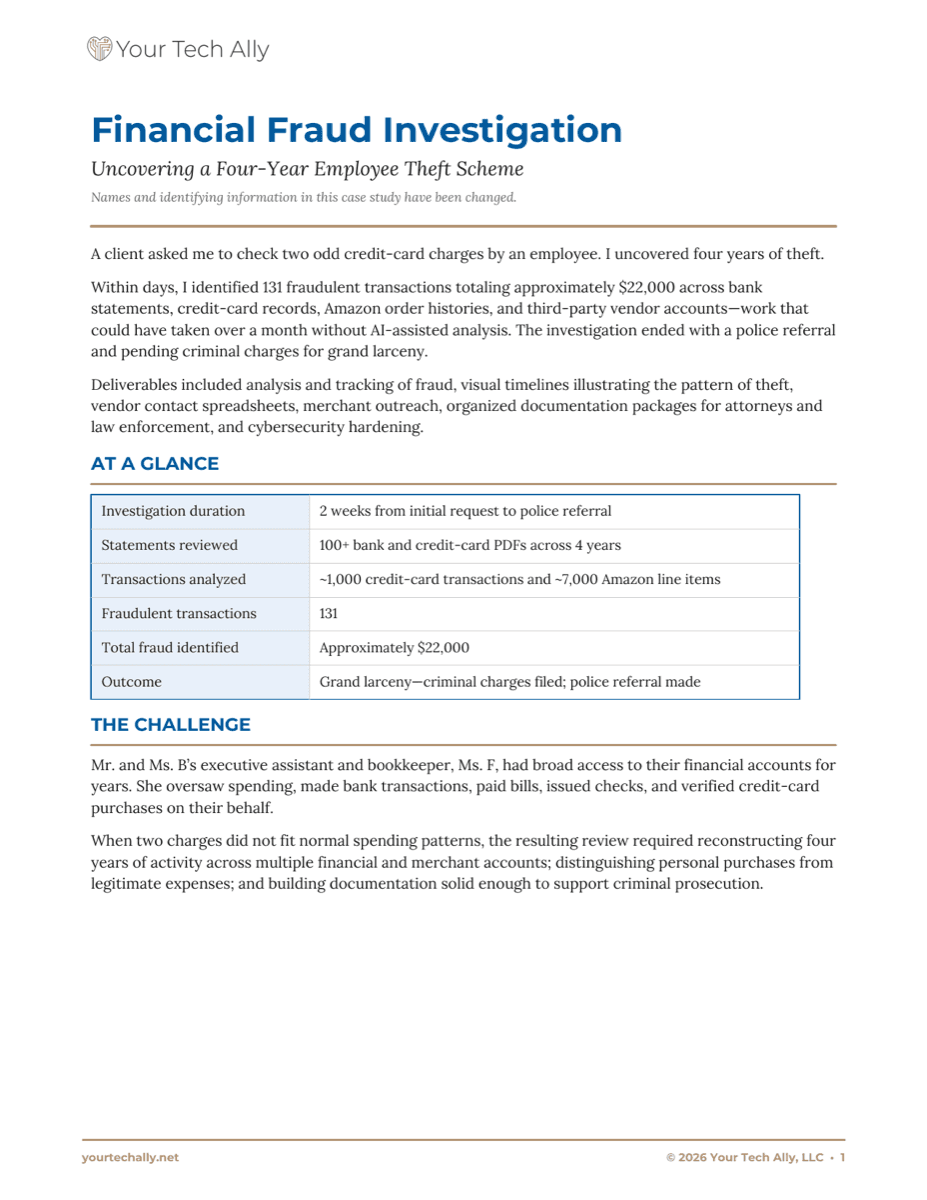 Financial Fraud Investigation case study — first page preview