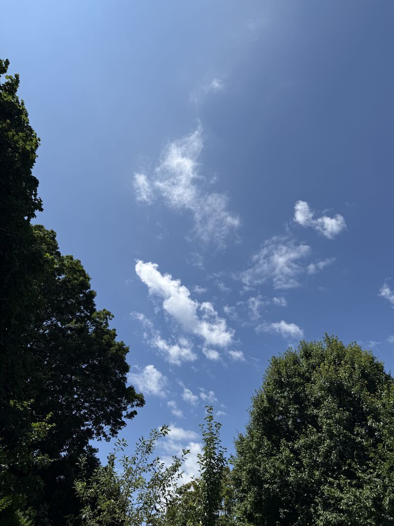 How did you take care of yourself today?